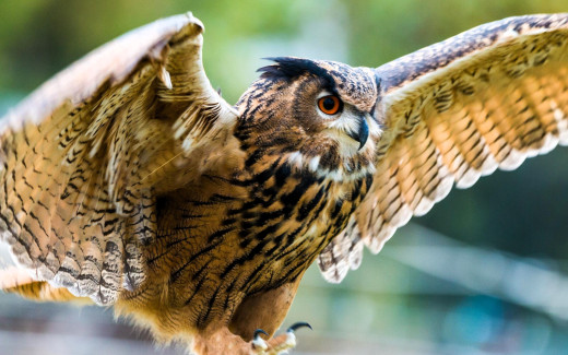 1755268 (a): :1920x1200